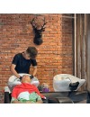 GEYİK BAŞI V2 | 3D Metal Geyik Başlığı Ev Ofis Hayvan Duvar Dekoru -M