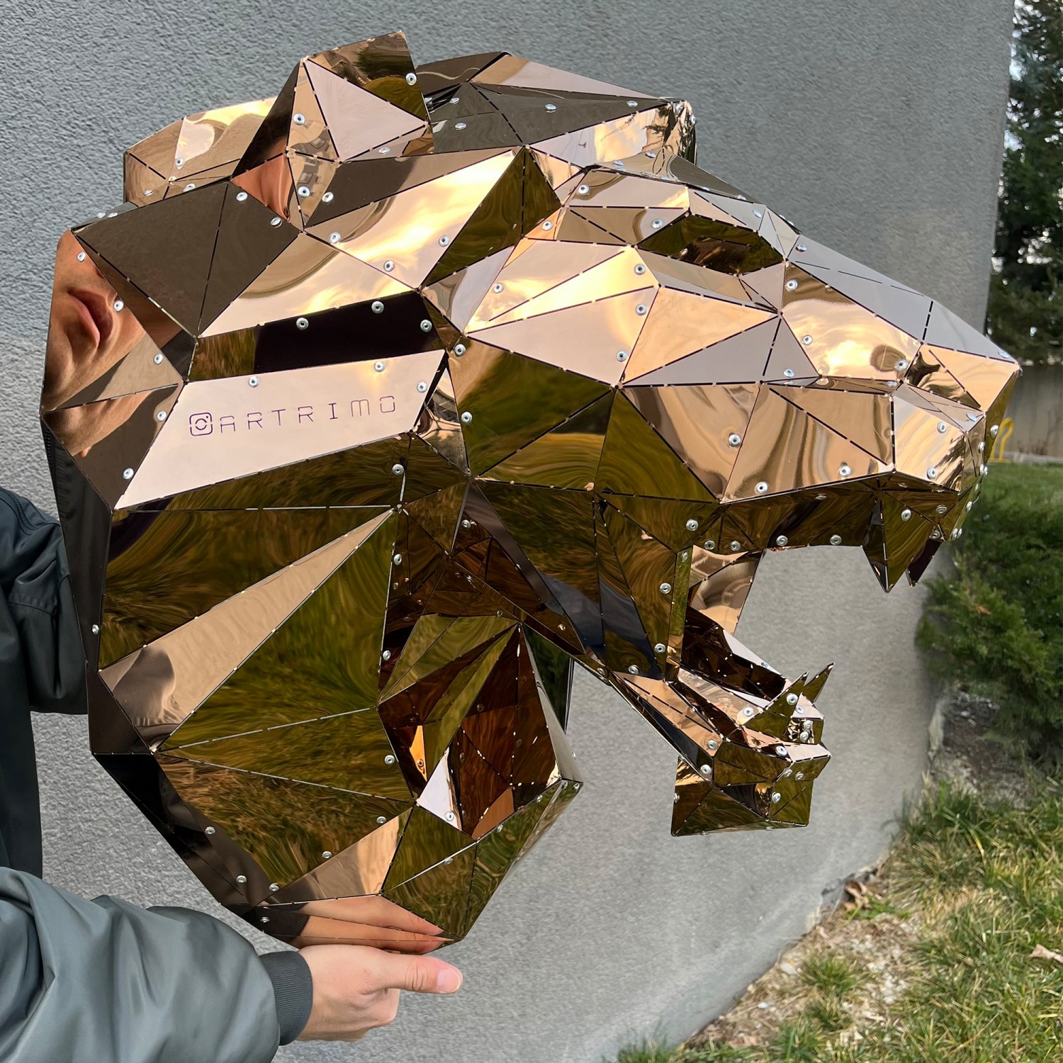 Lion Head Version 2 L Titanium-Coated Stainless Steel Decor