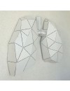 LUNG - M