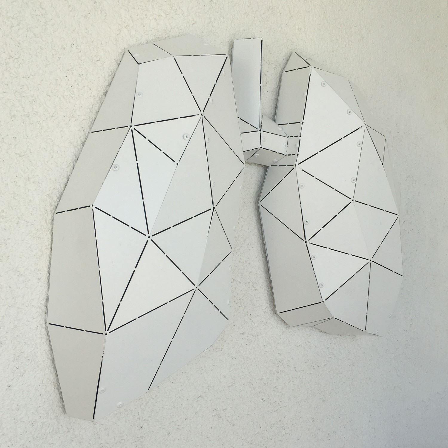 LUNG - M