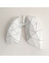 LUNG - M