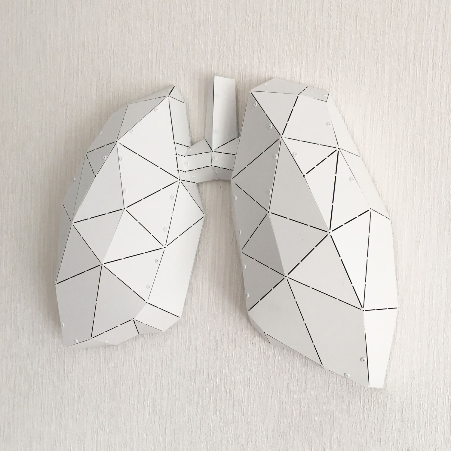 LUNG - M
