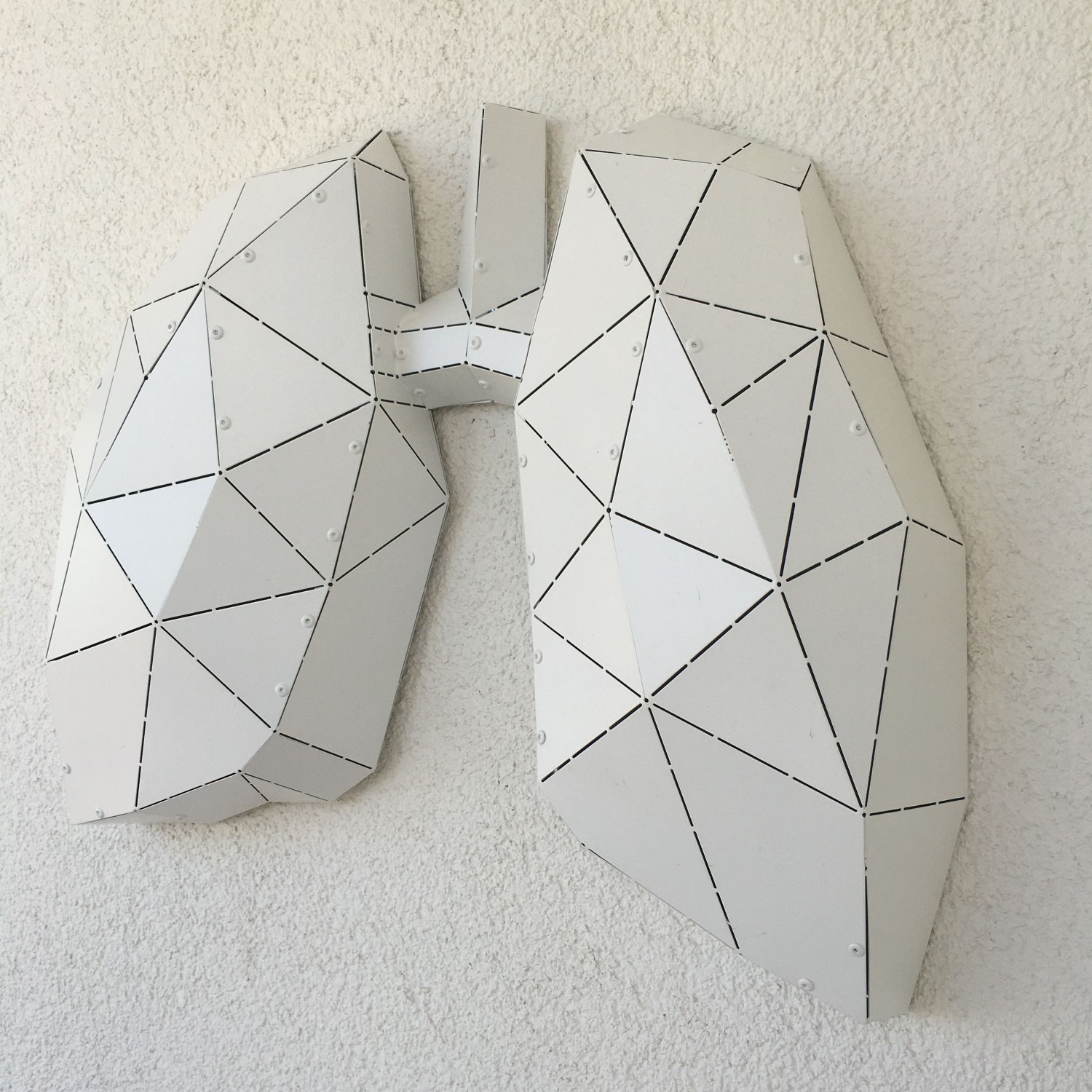 LUNG - M