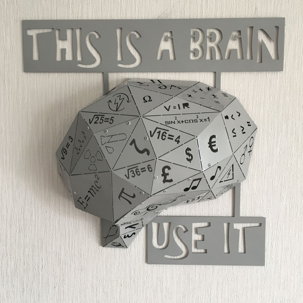 THIS IS A BRAIN V1 - M